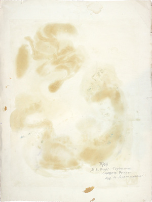 Раубе-Горчилина Мария Вячеславовна. Пруд